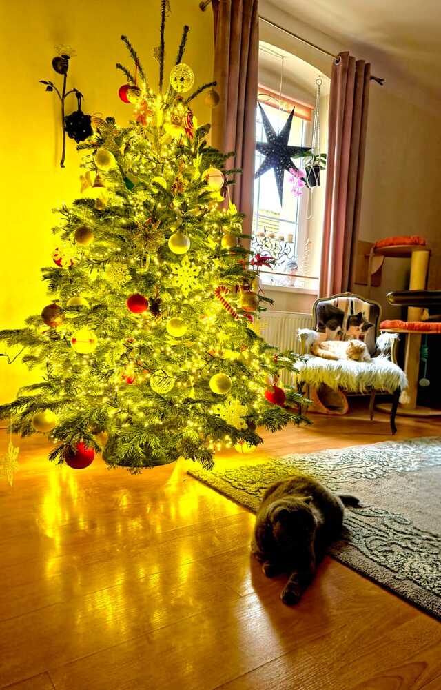 Wyróżnienie w kategorii Mój Dom