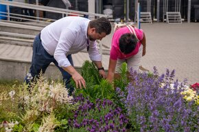 Za przywiezienie odpadów do Sorterowni Runiki mieszkańcy otrzymają sadzonki roślin.jpg