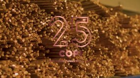 25 lat COPI