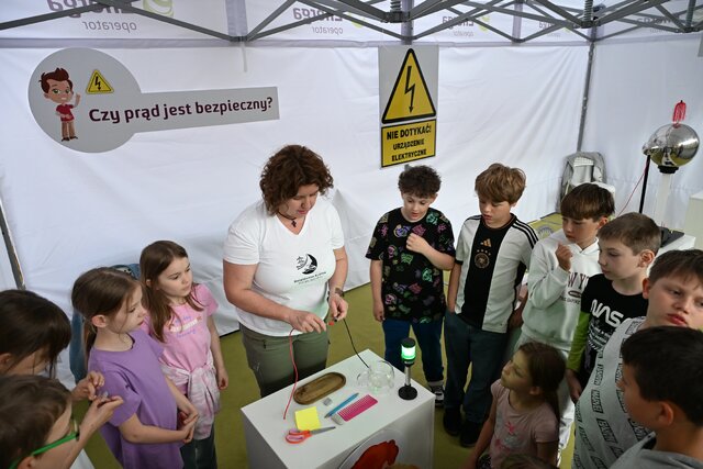 Bezpieczna Kraina w Iławie