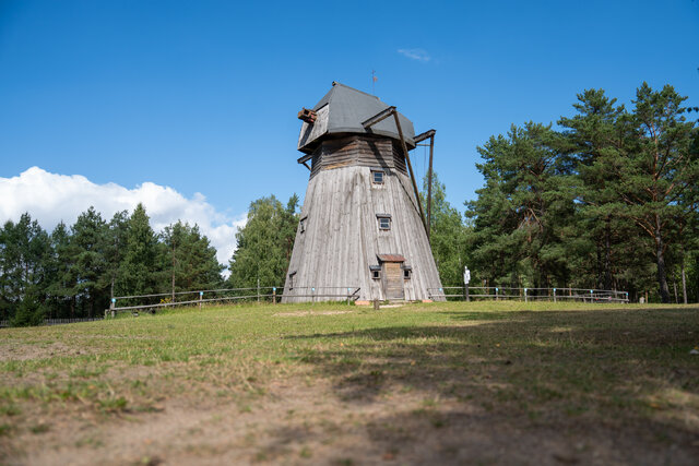 DSC09794.jpg