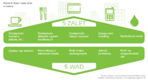 Wady i zalety miast.PNG