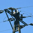 Zderzenia z liniami energetycznymi i porażenia prądem to najczęstsza przyczyna śmierci lotnych bocianów.  (foto P. Szymoński)