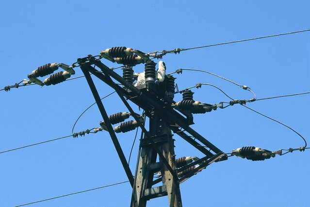 Zderzenia z liniami energetycznymi i porażenia prądem to najczęstsza przyczyna śmierci lotnych bocianów.  (foto P. Szymoński)
