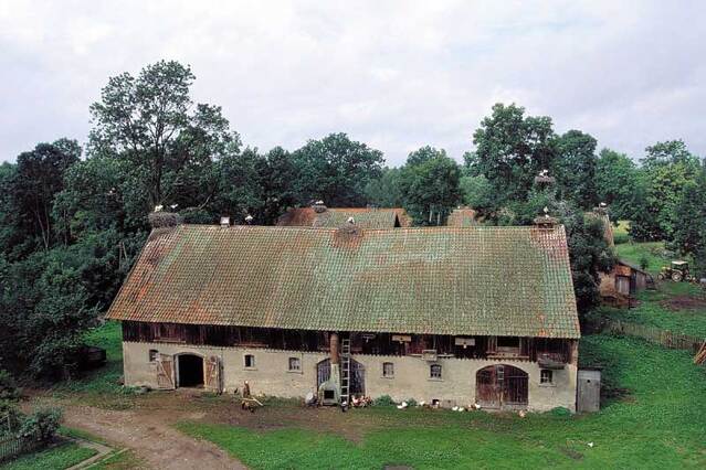 Żywkowskie bociany dobrze czują się na nowych platformach. (foto P. Szymoński)