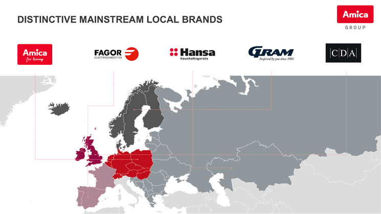 Amica Group ENG (+ European focus)2025