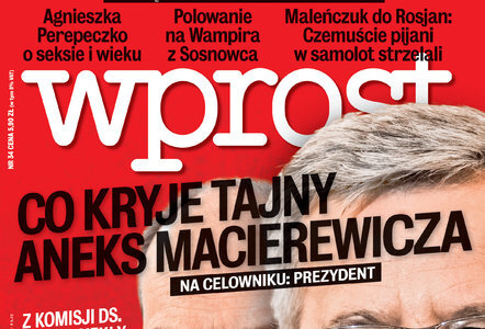 WPROST – co było w aneksie do raportu z likwidacji WSI?