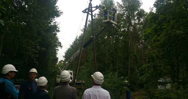 Wiceminister energii Andrzej Piotrowski oraz prezesi Enei Operator oglądają odbudowę linii 15 kV