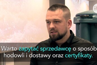 Owoce morza coraz popularniejsze na polskim stole (wideo)