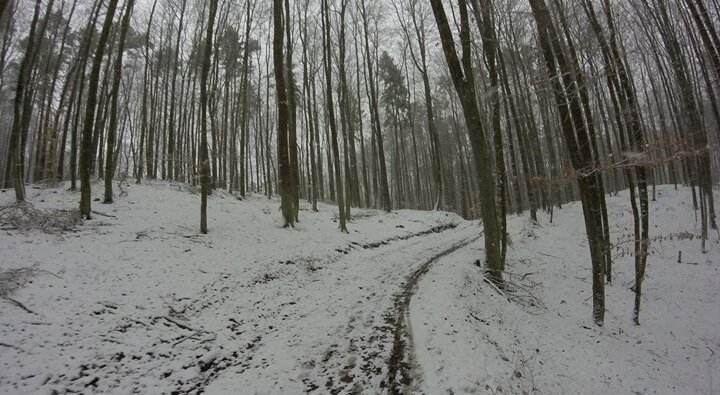 120201714746155_1692034150896229.jpg