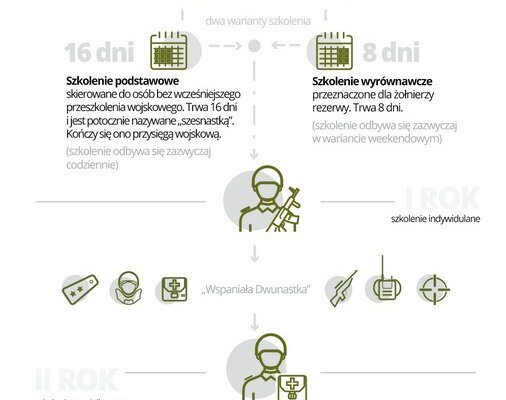 Terytorialsi – pożądana grupa na rynku pracy 