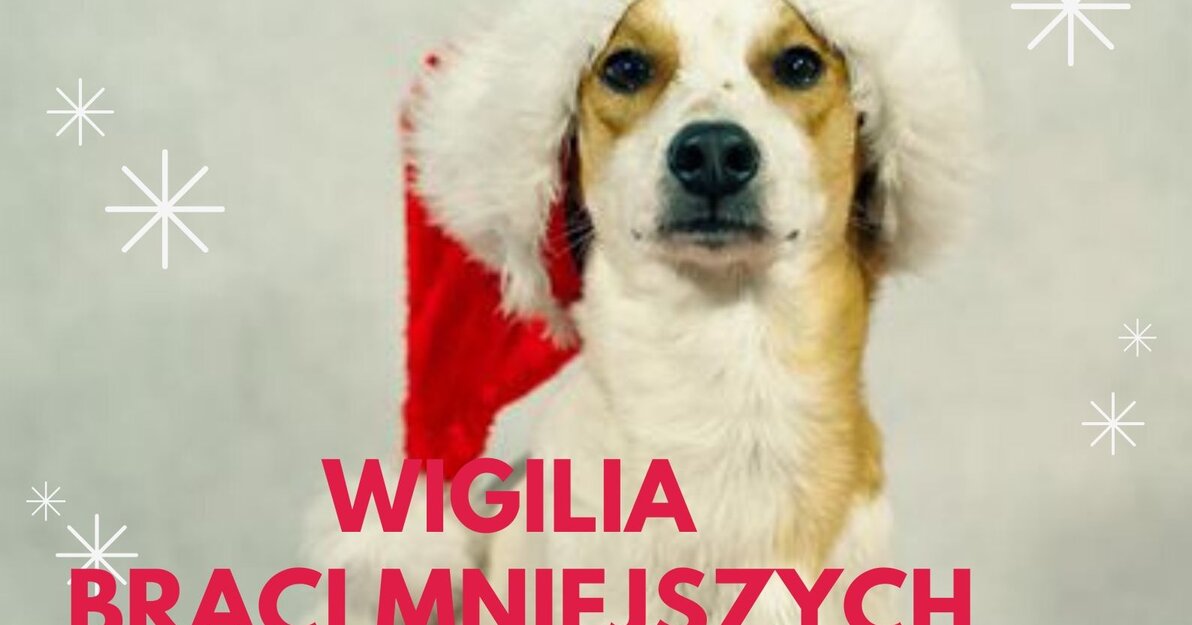 wigilia plakat