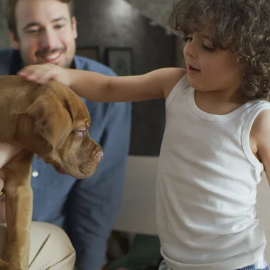 Provident z nową, rodzinną reklamą „Pożyczki wynajmowanej” 