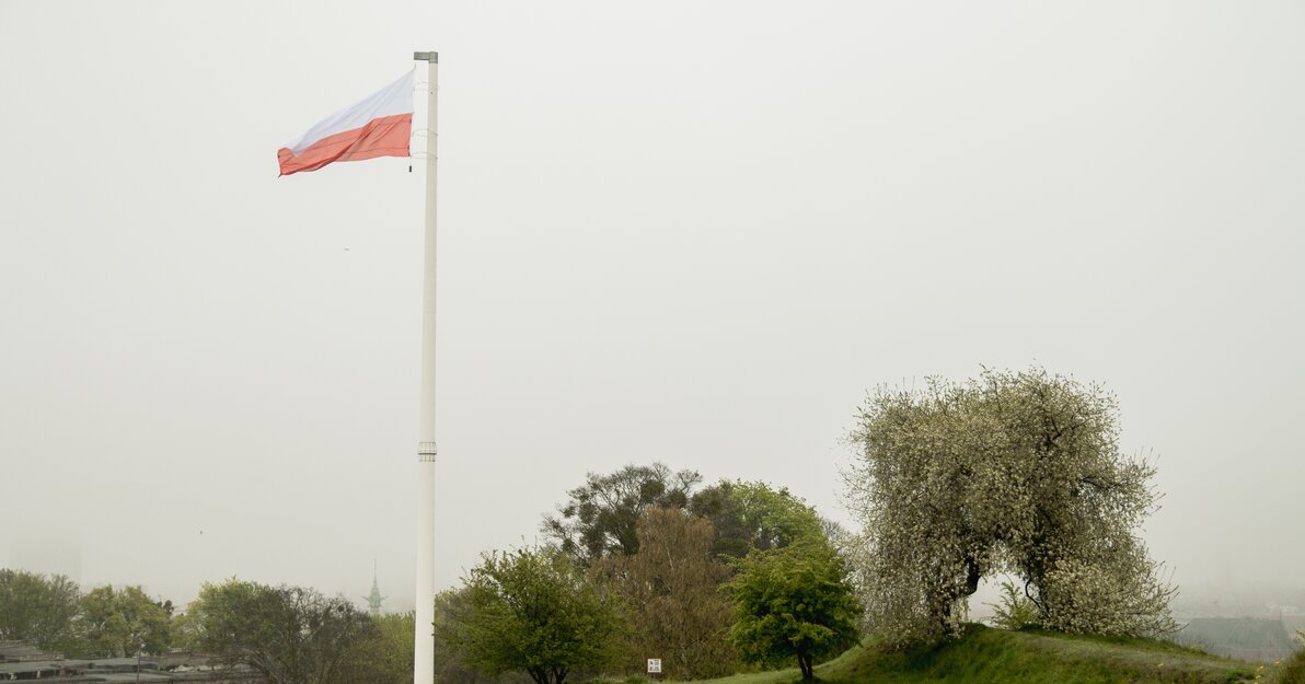 Dominik Paszliński gdansk.pl