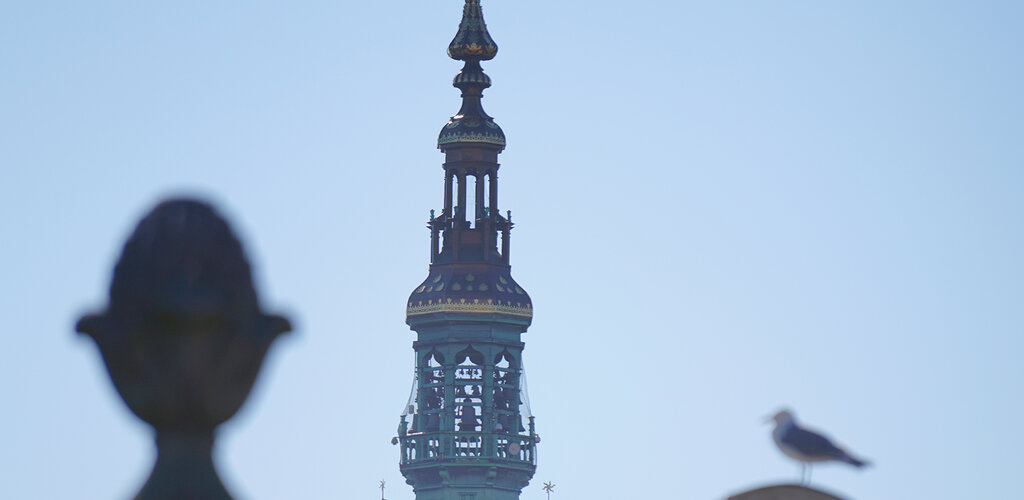 Gdańsk. Wieża Ratusza Głównego Miasta. Poniżej niej fragmenty dwóch szczytów gdańskich kamienic. Na prawej siedzi ptak.   