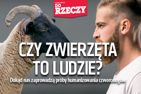 „Do Rzeczy” nr 43: Czy zwierzęta to ludzie? Dokąd nas zaprowadzą próby humanizowania czworonogów?