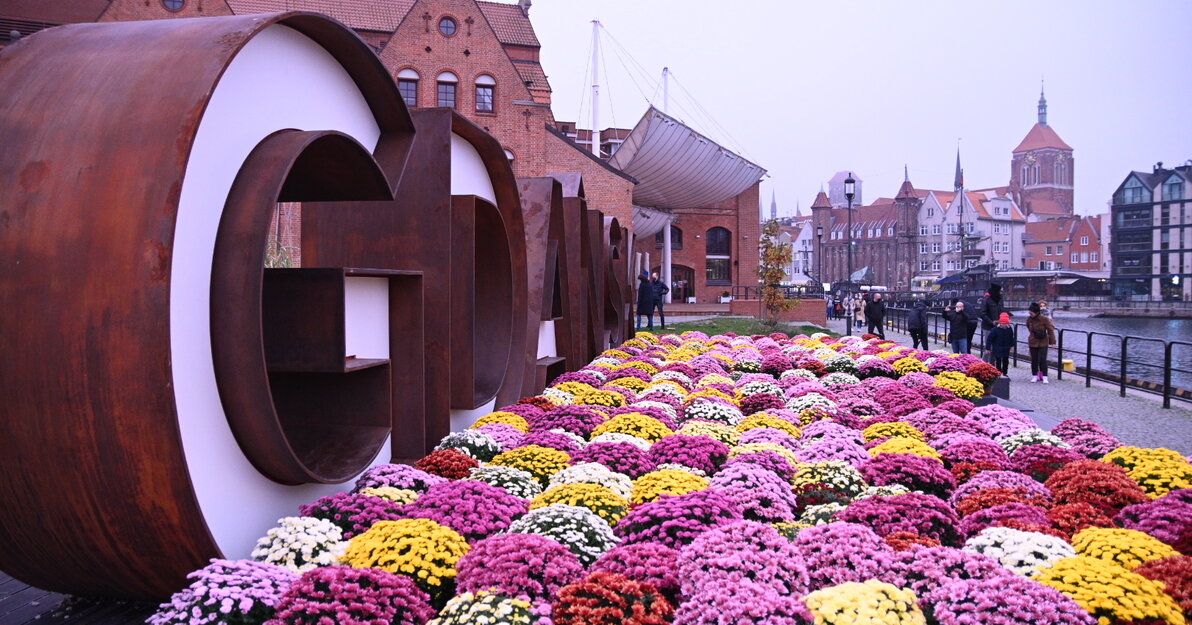 Po lewej stronie napis Gdańsk przed którym stoją kolorowe chryzantemy. W tle budynek Filharmonii Bałtyckiej. Z prawej strony w tle  Motława i zabudowania Długiego Pobrzeża. 