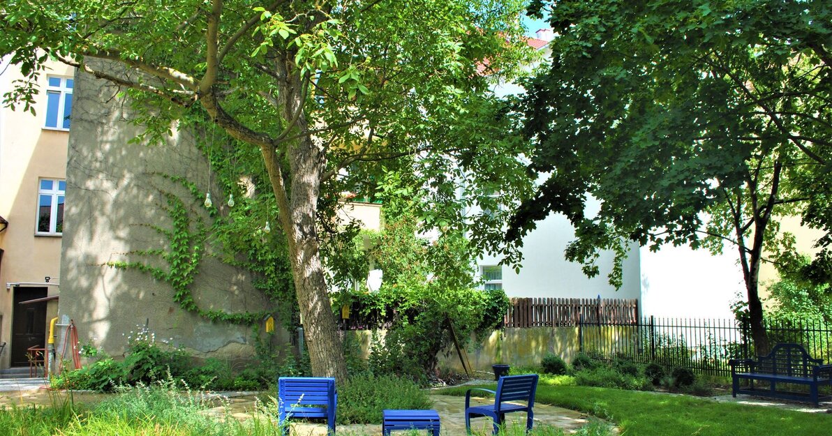 Zdjęcie przedstawia wnętrze podwórzowe przy ul. Sienkiewicza 9. Na pierwszym planie nowe ogrodzenie, trawnik oraz niebieskie ławki, w centralnej części duże drzewo, w tle budynki mieszkalne.