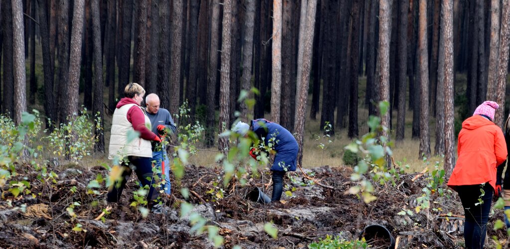 Poczta Polska i Lasy Państwowe wspólnie dla środowiska