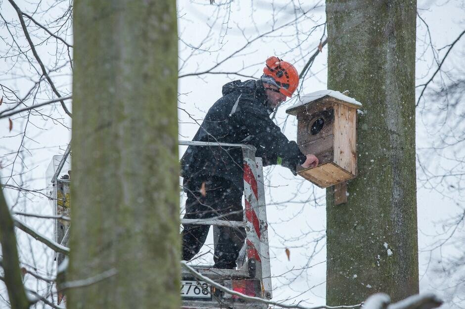 Wyczyszczone budki lęgowe czekają na swoich lokatorów