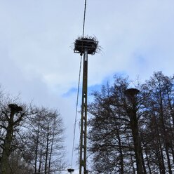 Kolejne bocianie gniazda pod opieką energetyków