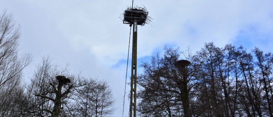 Kolejne bocianie gniazda pod opieką energetyków