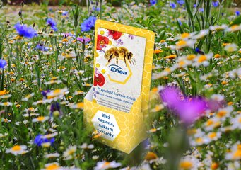 Razem w trosce o pszczoły – społeczna akcja organizowana w Biurach Obsługi Klienta Enei