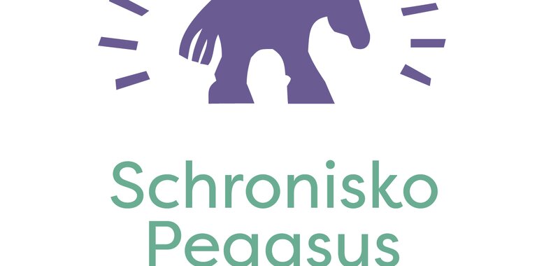 Provident adoptuje konia ze schroniska Pegasus. Ruszyła kampania To nie KONIEc