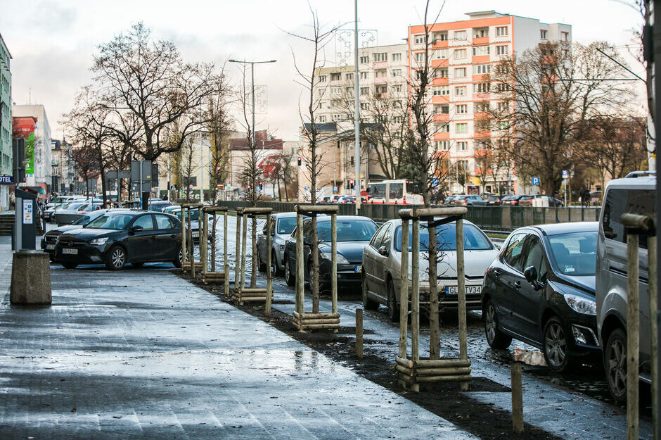 Nowe nasadzenia na al  Grunwaldzkiej