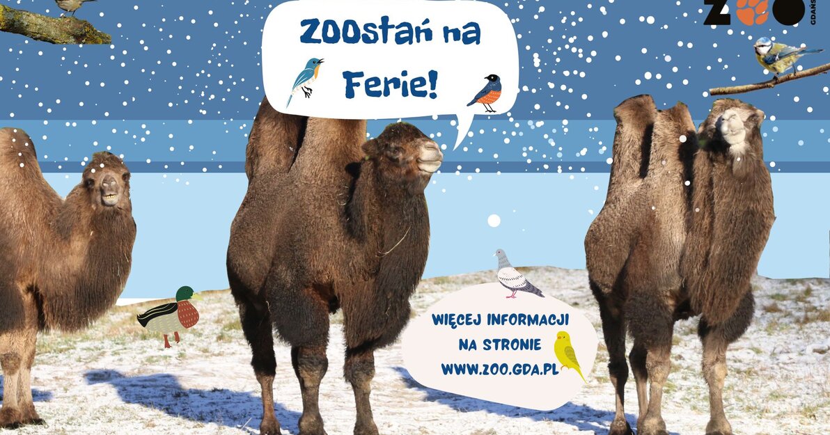 Zoostań na ferie, mat  Gdański Ogród Zoologiczny