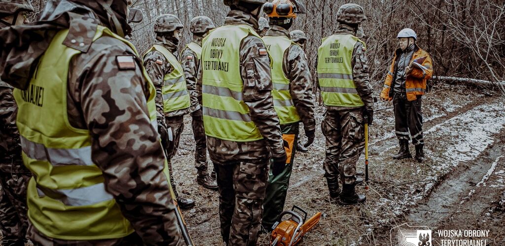 Usuwanie wiatrołomów na północnym Mazowszu