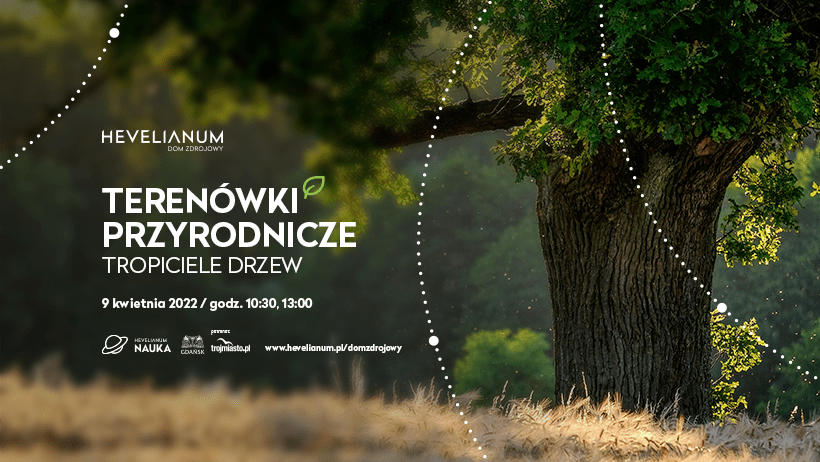 Plakat wydarzenia, ma tle drzew napis Terenówki przyrodnicze: Tropiciele drzew, Hevelianum Dom zdrojowy, data 9 kwietnia, 2 godziny, 10.30, 13.00, logotypy projektu. 