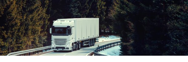 Raport Transport drogowy w Polsce 2021 plus_źródło_Canva