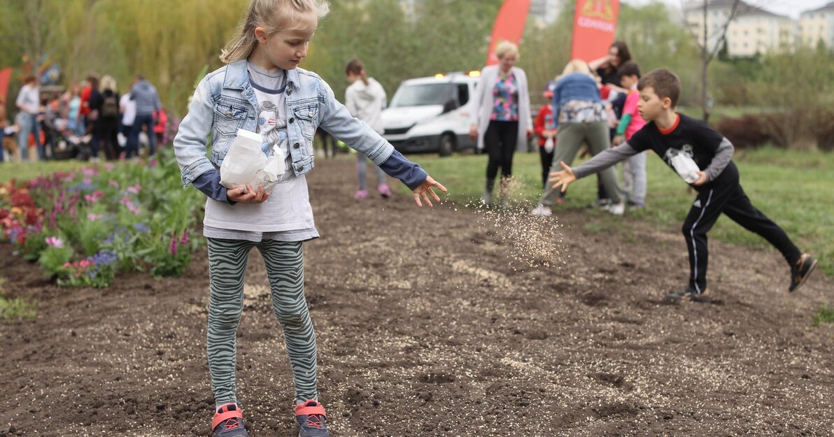 Podczas pikniku posiana została łąka kwietna i zasadzono rabatę bylinową