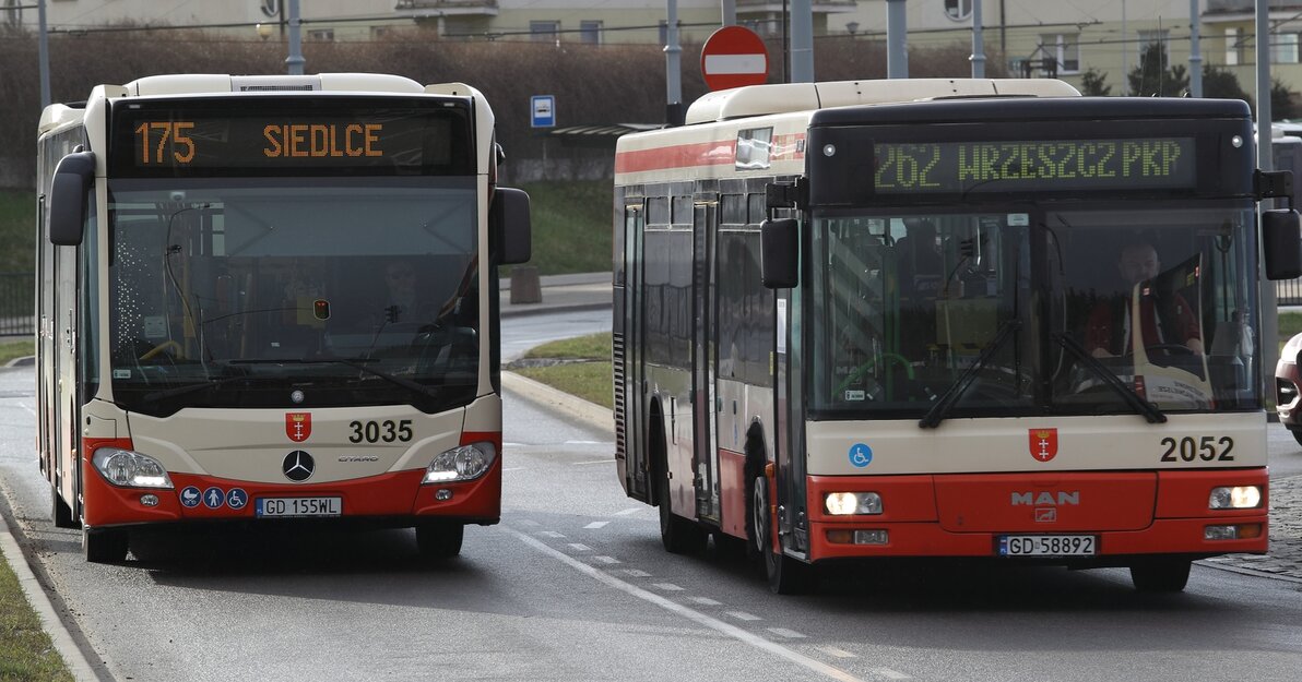 dwa autobusy komunikacji miejskiej w Gdańsku