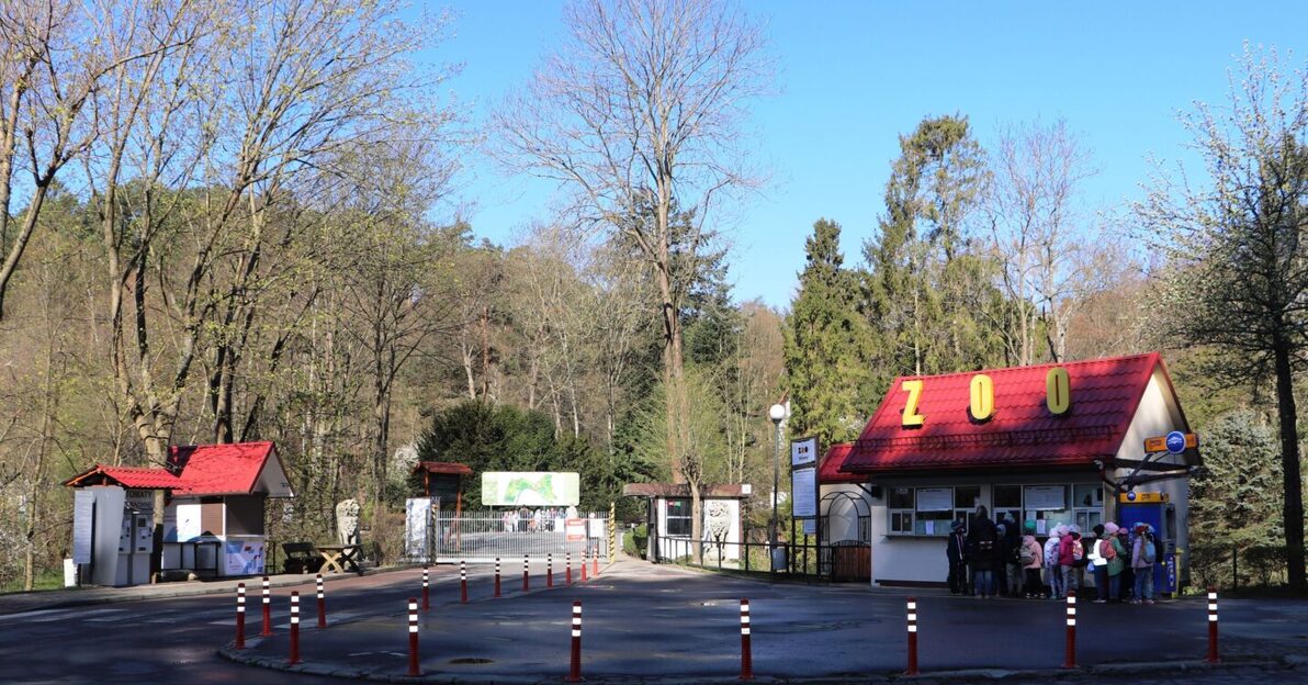 Brama Główna Zoo  Fot  GOZ