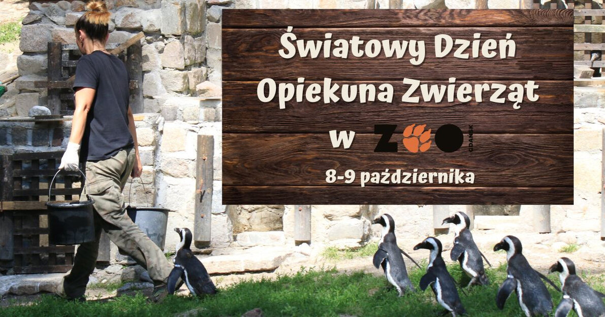 Światowy Dzień Zwierząt Mat  GOZ