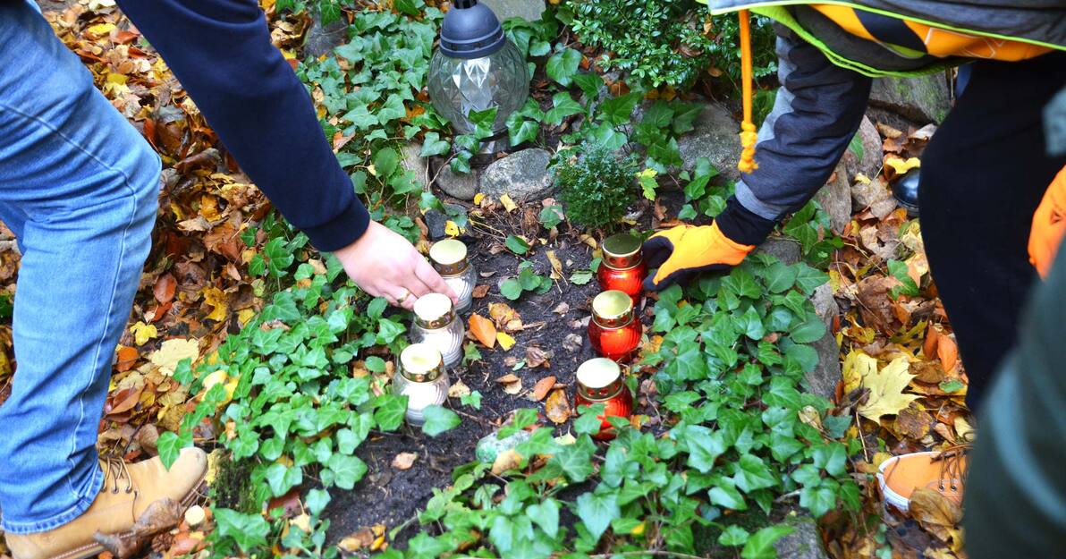 Zdjęcie. Uczniowie porządkujący nagrobek zarośnięty trawą. 