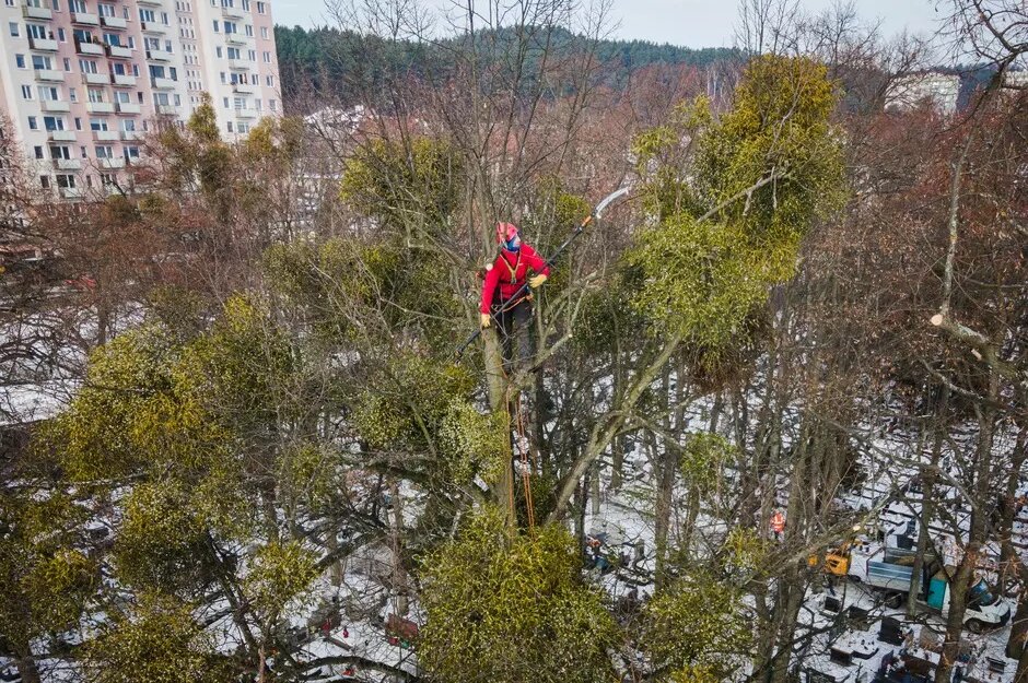 Fot Krol Stańczak GZDiZ