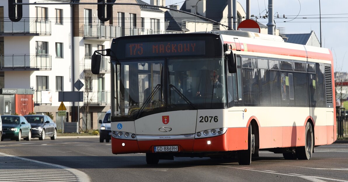 Autobus miejski, linia 175 w Gdańsku. 