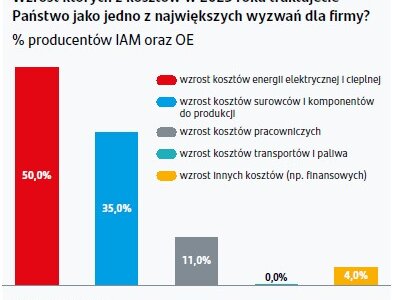 Grafika pokazująca jakie koszty będą największym wyzwaniem dla producentów części
    