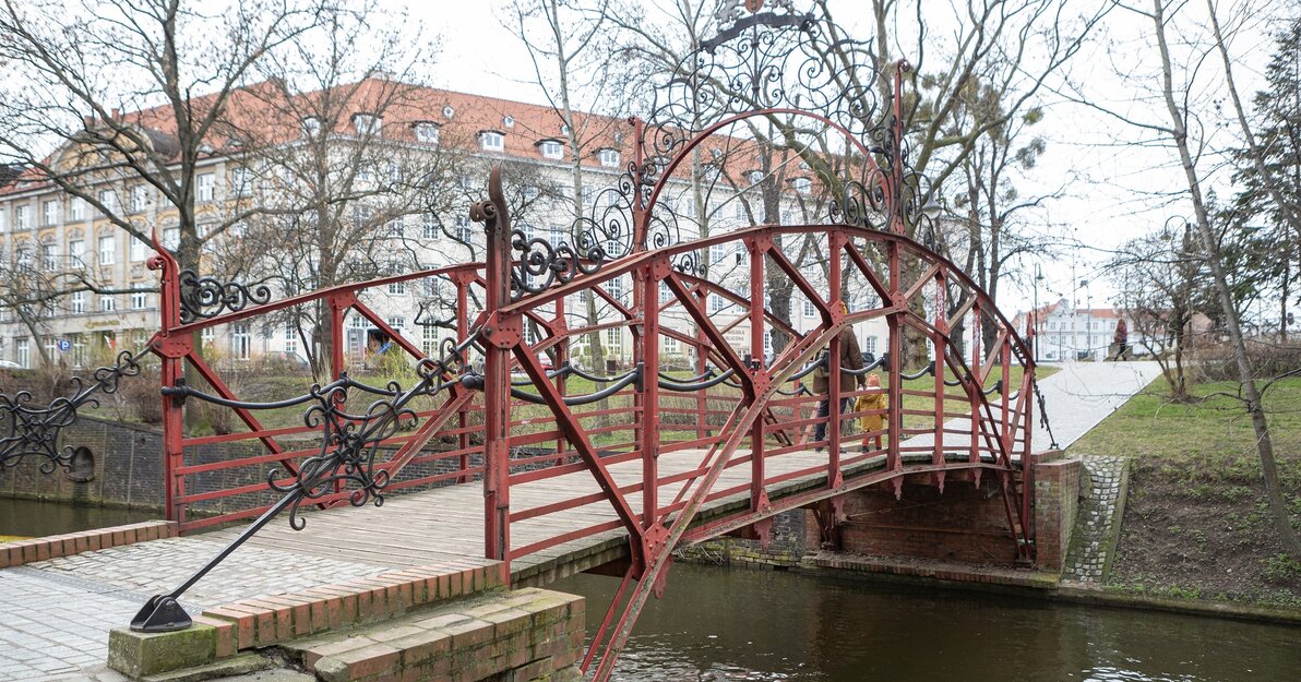 Mały Błędnik  Fot Piotr Wittman gdansk