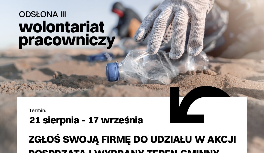 Sprzątanie Świata, mat. prasowy WGK