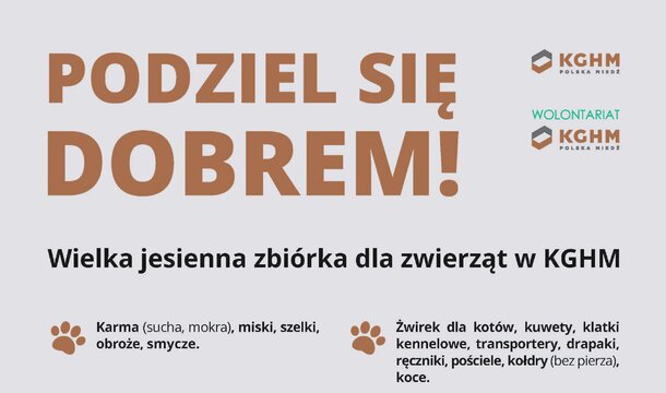 Podzielą się dobrem – KGHM prowadzi dwie akcje wolontariackie w Zagłębiu Miedziowym