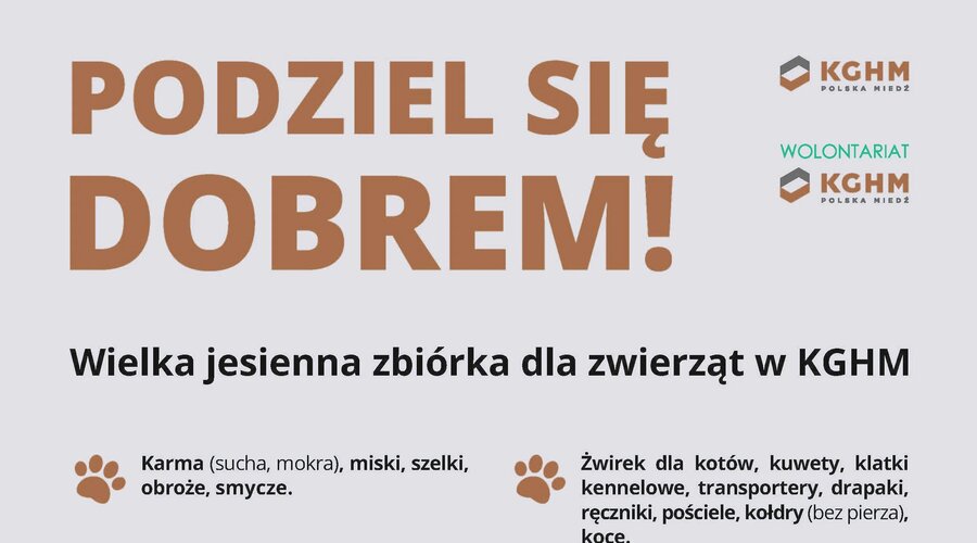 Podzielą się dobrem – KGHM prowadzi dwie akcje wolontariackie w Zagłębiu Miedziowym