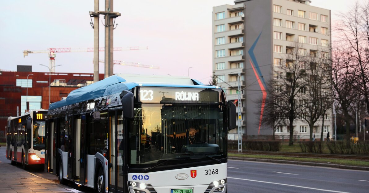 Solaris, fot. Dominik Paszliński / www.gdansk.pl 