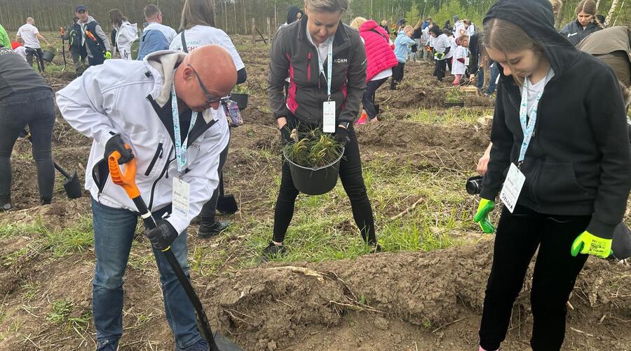 Voluntarios de KGHM han sembrado otro bosque más