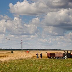 ENERGA-OPERATOR przypomina:  Bezpieczne prace rolne, a sieć elektroenergetyczna