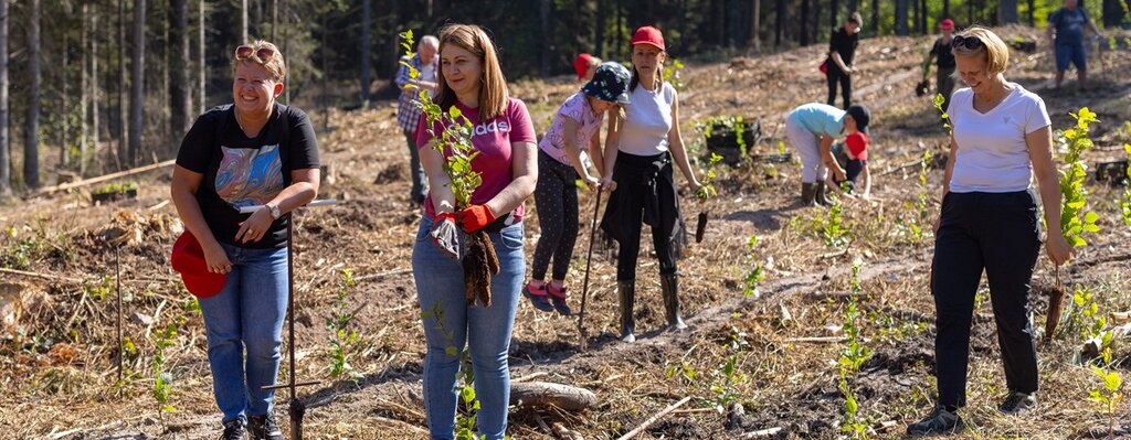 „Wybierz nas, posadź las”. Poczta Polska posadziła tysiące drzew 