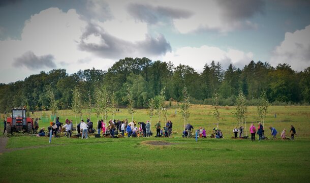 Together for a green future - KGHM helped the Grębocice commune plant trees in Obiszów